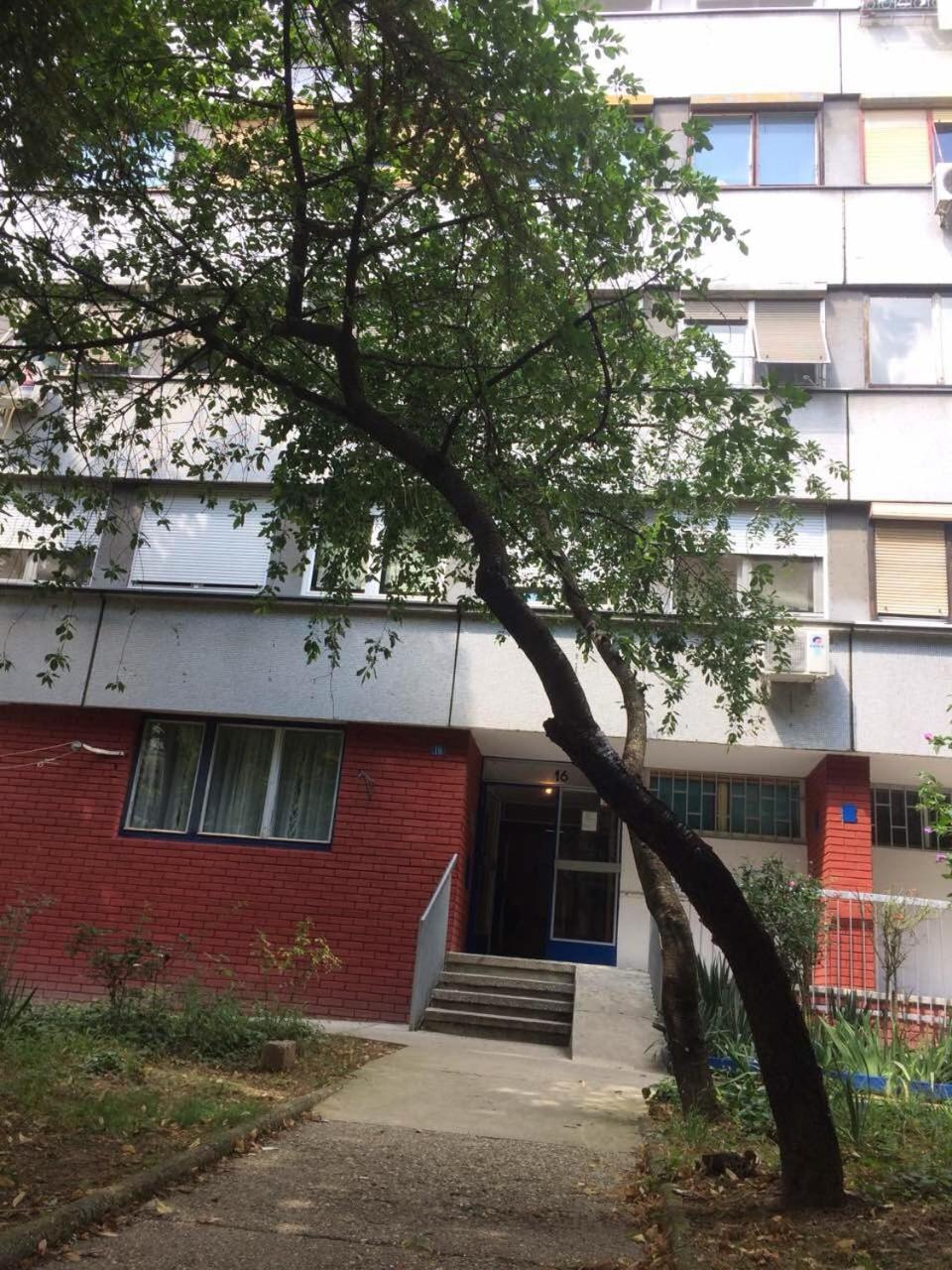 Vortexluxapatman Belgrade Exterior photo
